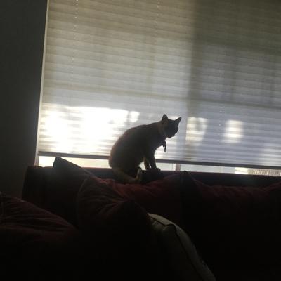 oldredsubby@sfba.social