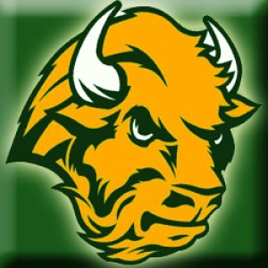 NWBison@newsie.social