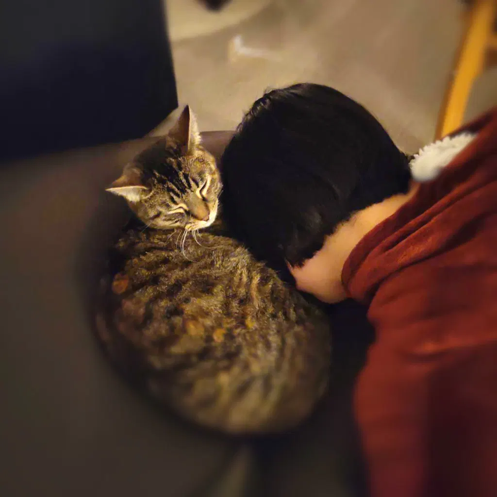 mametsuko@mk.absturztau.be