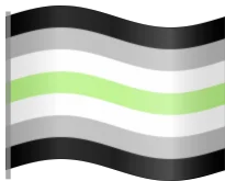 agender_flag