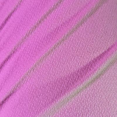 sk@catcatnya.com