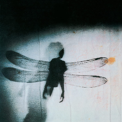 detondev@social.linux.pizza