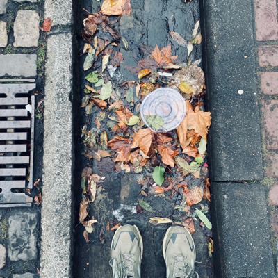 ford____prefect@mastodon.social