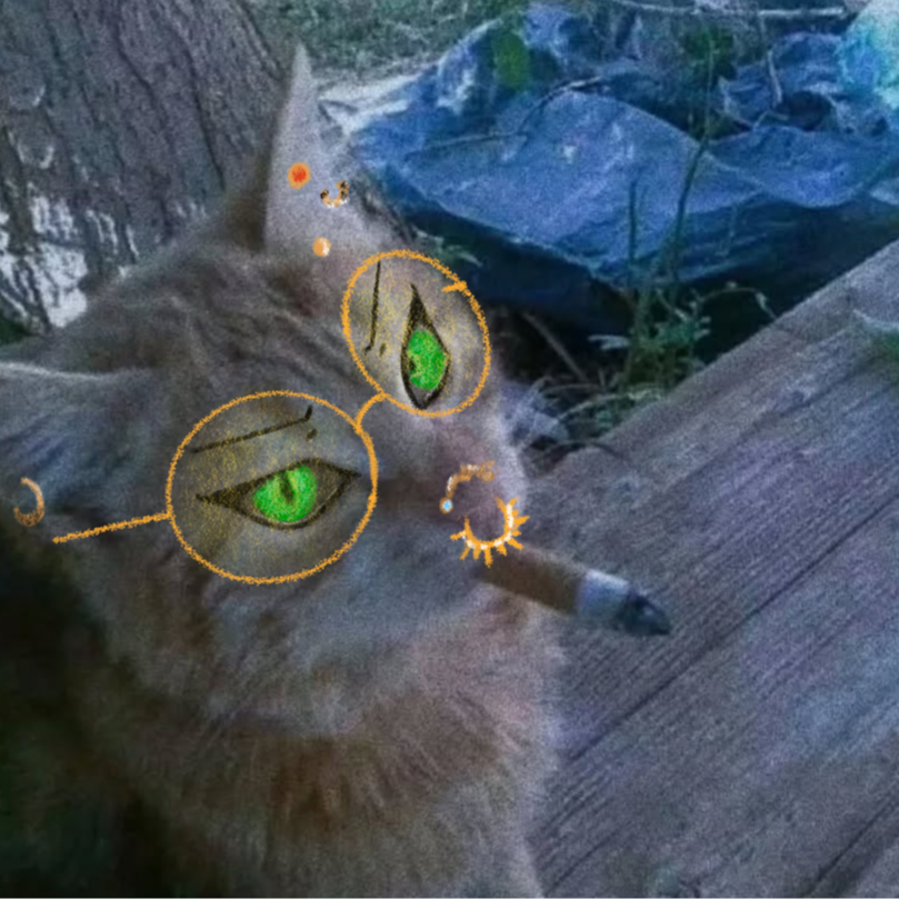 bl00d@yourwalls.today