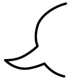 left_side_balloon_with_tail