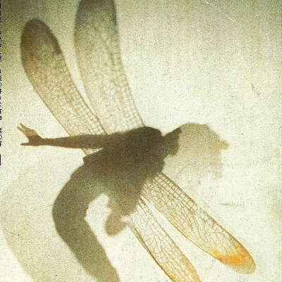 detondev@social.linux.pizza