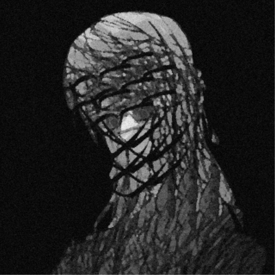 MURRUMUR@social.xenofem.me