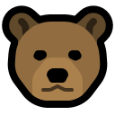 ms_bear