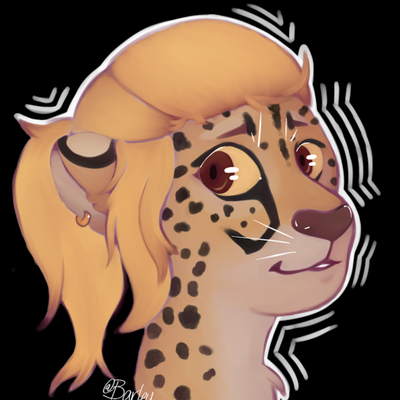 nomi@shark.community