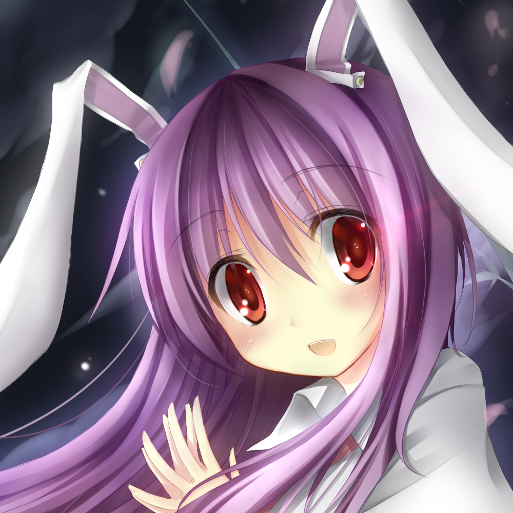 snugglybun@void.lgbt