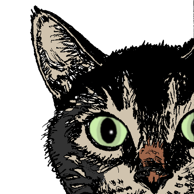 normandc@fosstodon.org