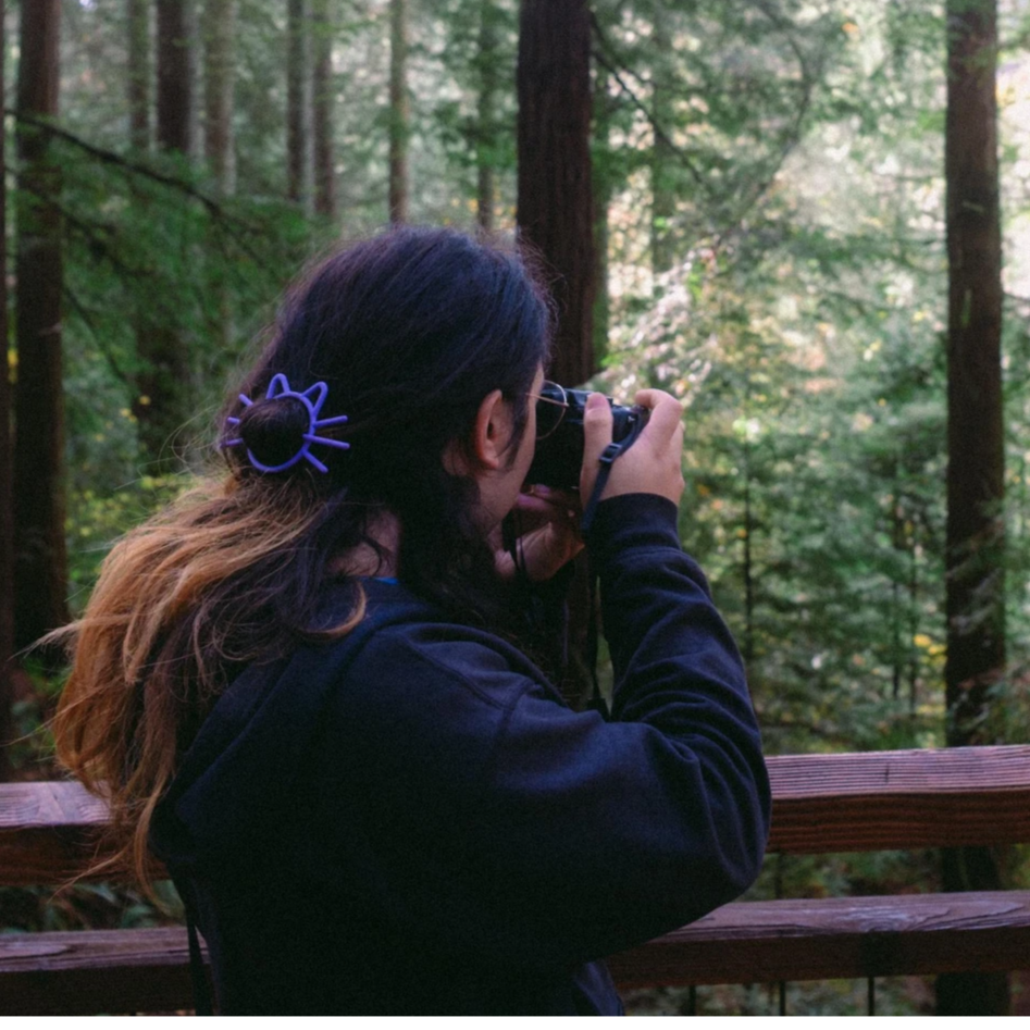 Chloe@catwithaclari.net