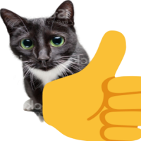 thumbsupcat