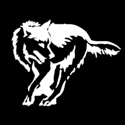 datenwolf@chaos.social