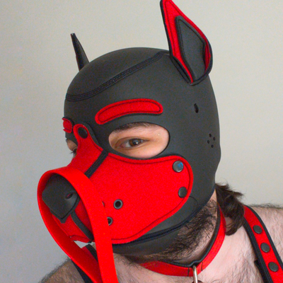 quat@woof.group