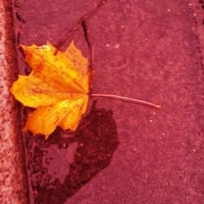 muenchnerin@sueden.social