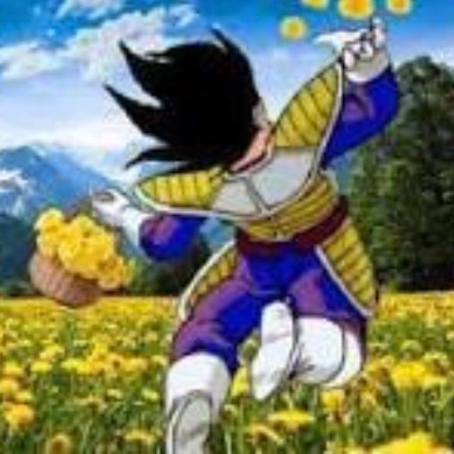 vegeta@app.wafrn.net