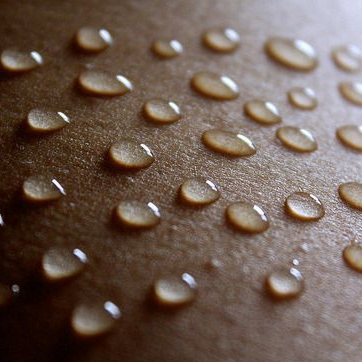 detondev@social.linux.pizza