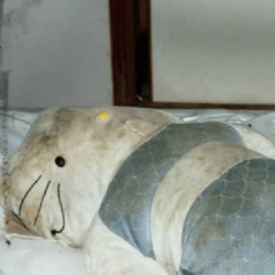 detondev@social.linux.pizza