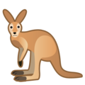 kangaroo