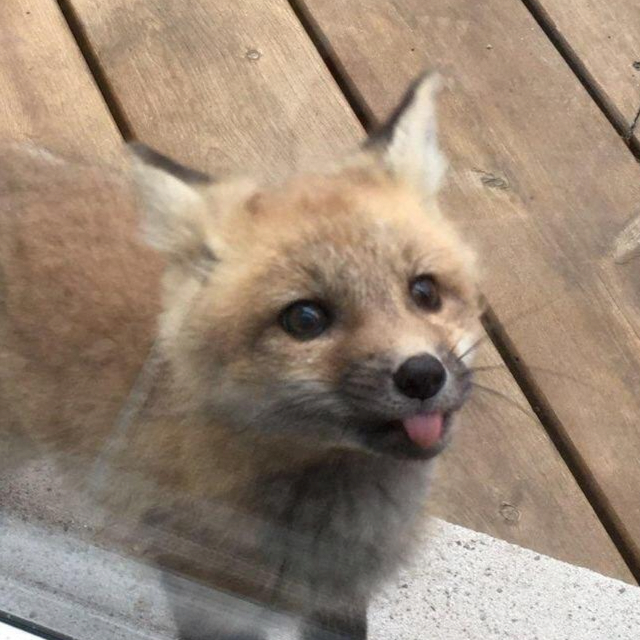 cat8124@mk.ilyamikcoder.com