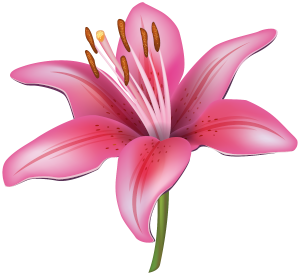 tigerlily