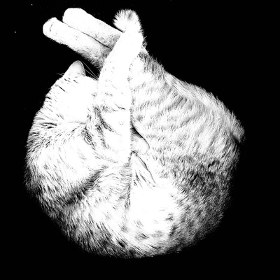 lrhodes@merveilles.town