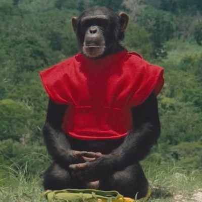 jincyquones@mast.shitpostbot.com