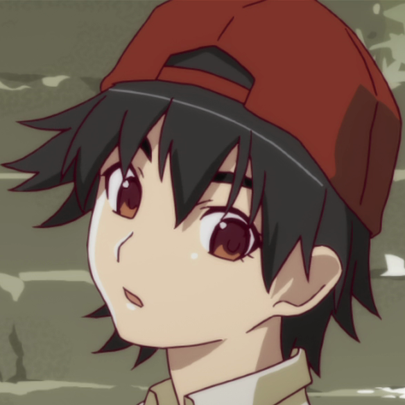 hikari@social.noyu.me