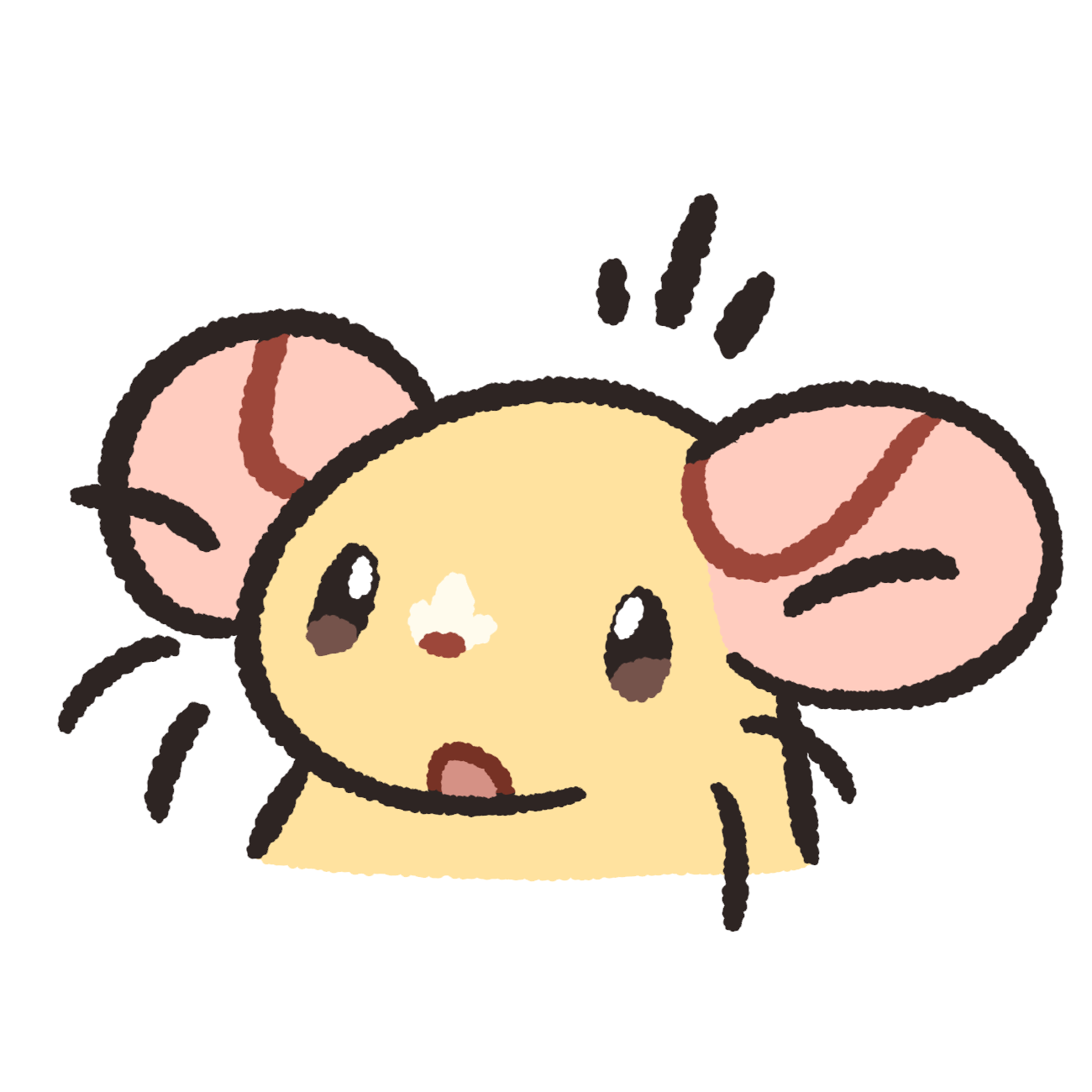 eondraws@possum.city