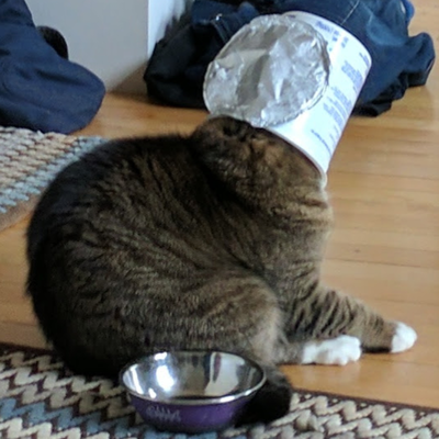 inspired@hachyderm.io