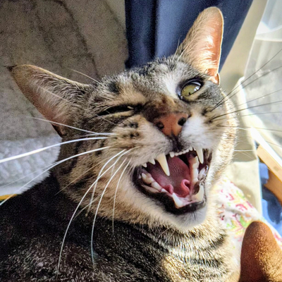 yudderick@toot.cat