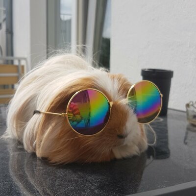 cxberger@boiler.social