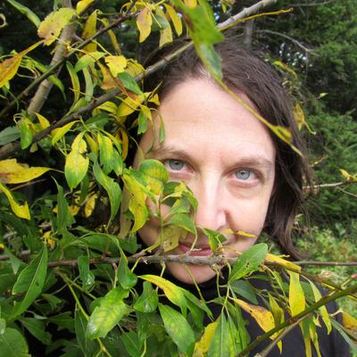 kylatilley@mastodon.social