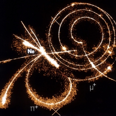 TeflonTrout@beige.party