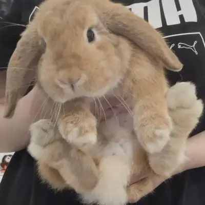 ieatbeees@tech.lgbt