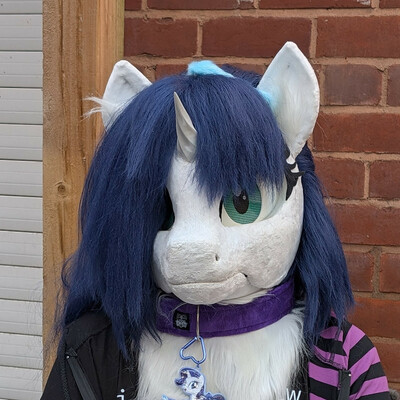 LightTheUnicorn@lighttheunicorn.horse