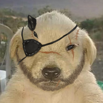 punished_labrador