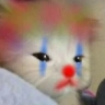 SadClownCat