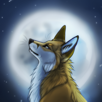 Redfuchs@furries.club