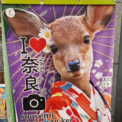 grayrattus@mastodon.social