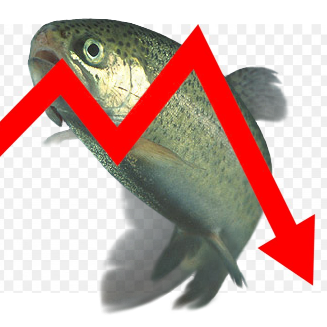 bad_for_trout