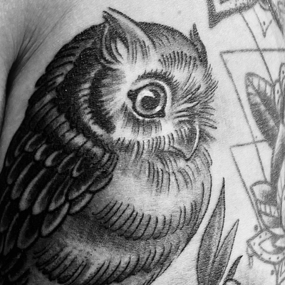 DrFerrous@hachyderm.io