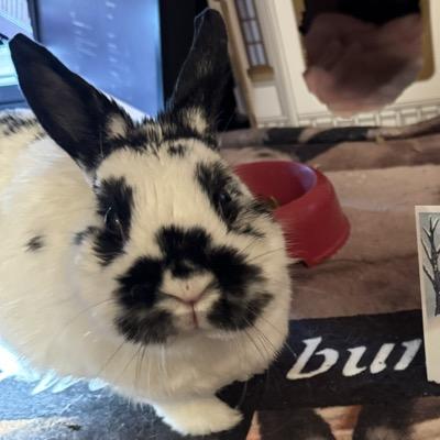 Satori@mastodon.thirring.org