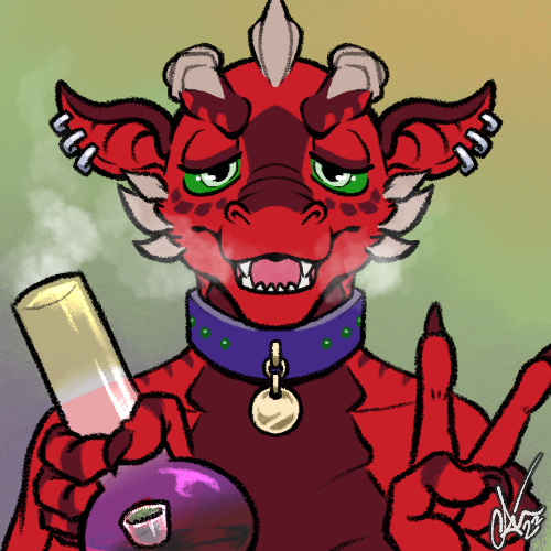 toydragon@goto.toydragon.xyz