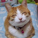 So_happy_smiling_cat