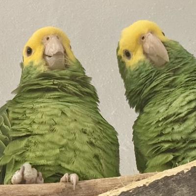 kstrlworks@techhub.social