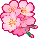 silver_sakura_6