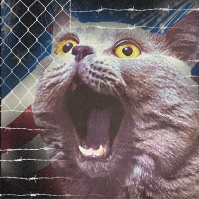 FlockOfCats@famichiki.jp