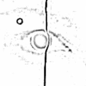 detondev@social.linux.pizza